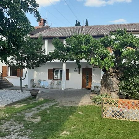 Country House Gazon ξενώνας Šmarje Εξωτερικό φωτογραφία