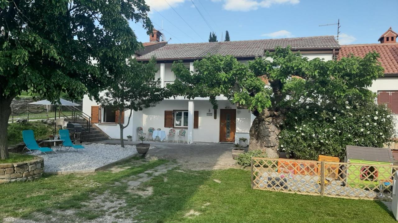 Country House Gazon ξενώνας Šmarje Εξωτερικό φωτογραφία