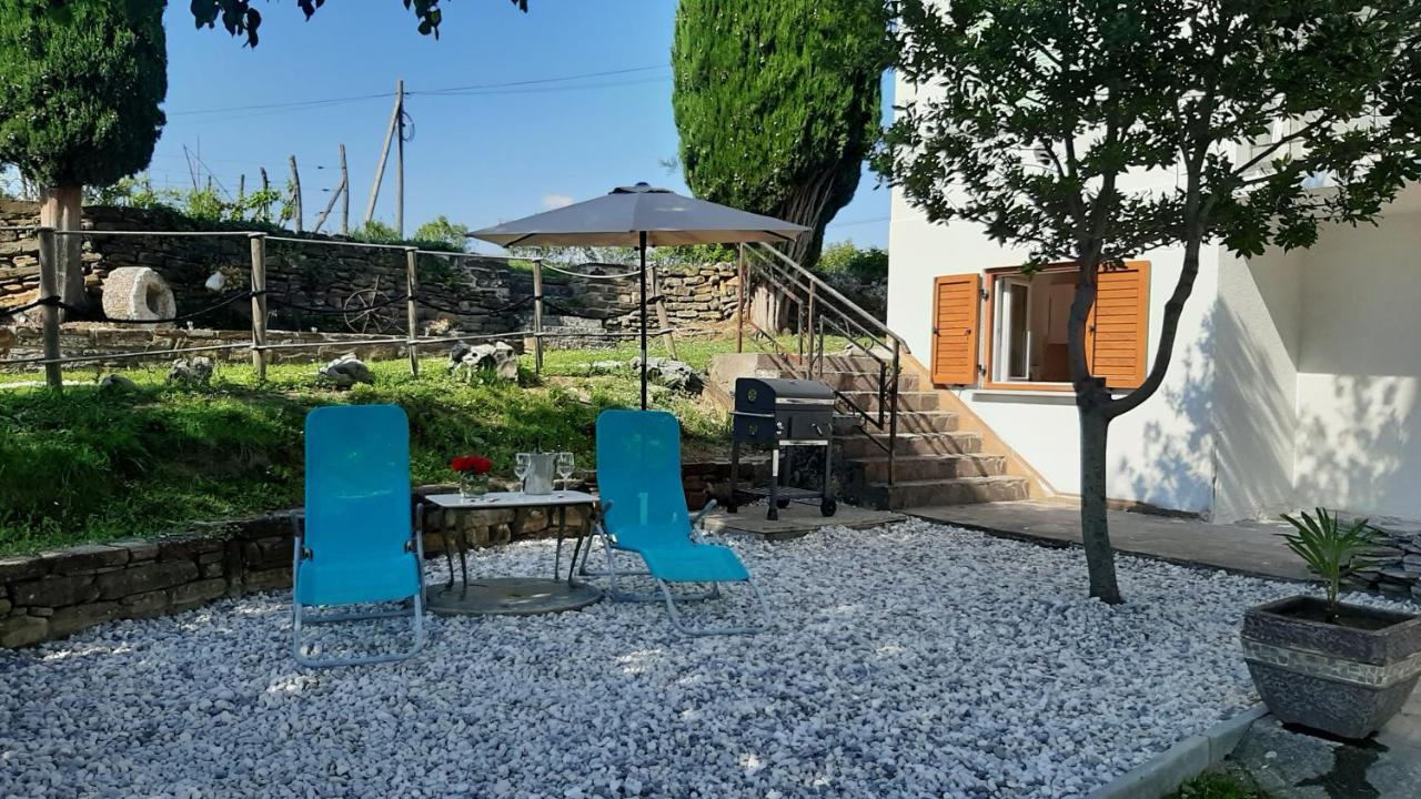 Country House Gazon ξενώνας Šmarje Εξωτερικό φωτογραφία
